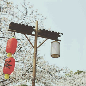 亚洲人交配视频
